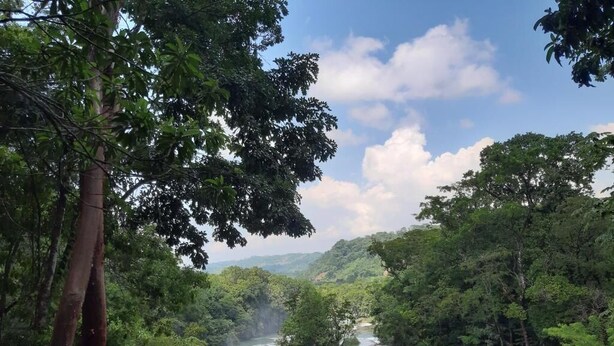 Un río que serpentea por una zona boscosa, con una baranda de madera al frente.