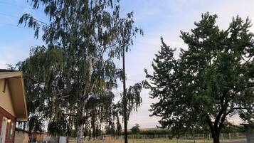 Phong cảnh nhìn từ nơi lưu trú