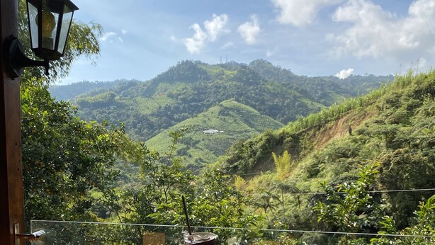 A table with breakfast items and a view of green hills.