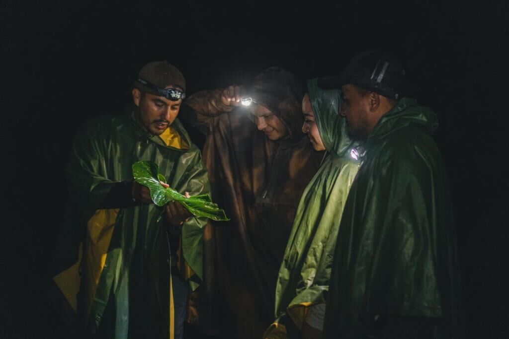 Un grupo de personas con gabardinas reunidas alrededor de una planta.