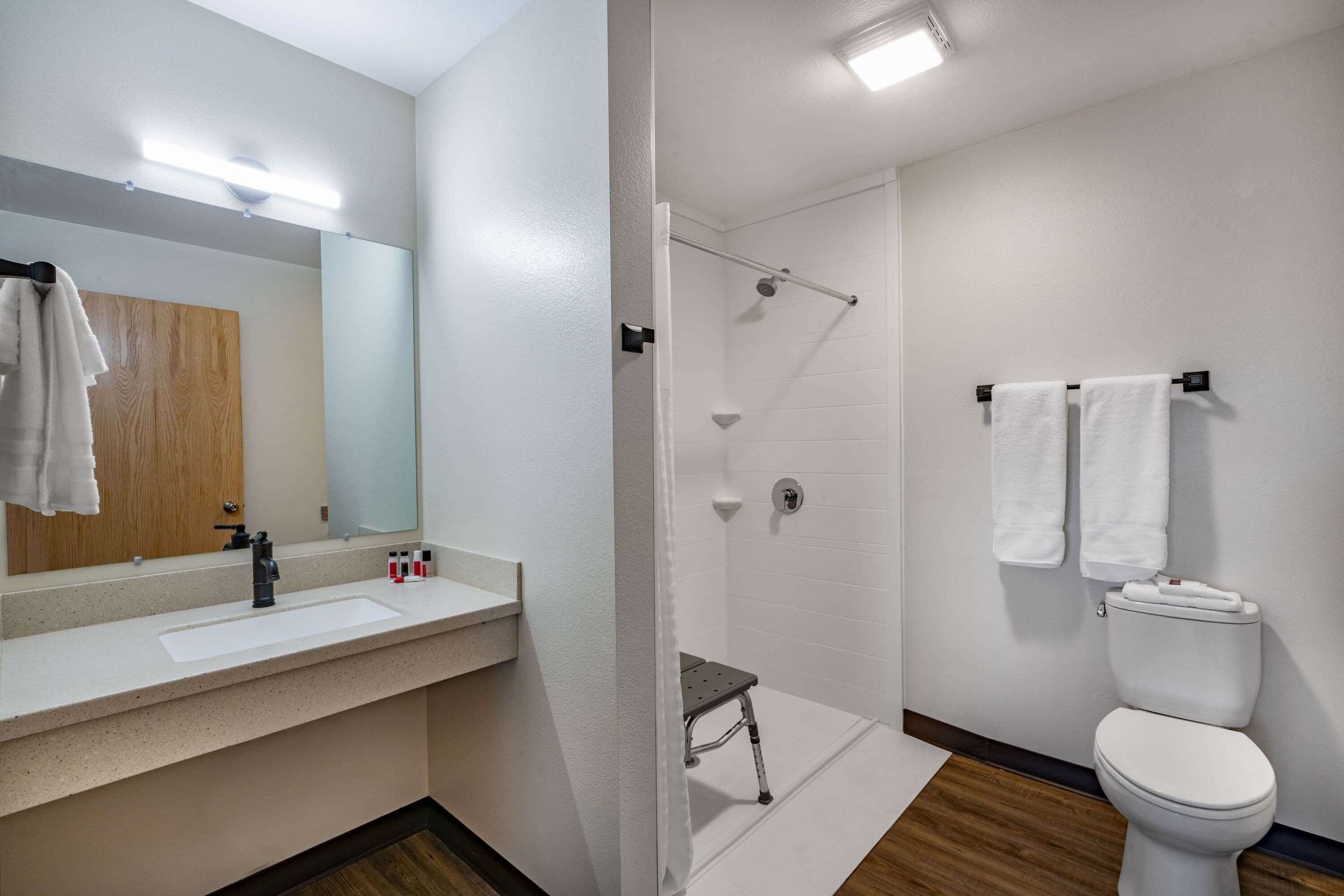 room, 1 queen bed, accessible, non smoking (mobility) | bathroom shower