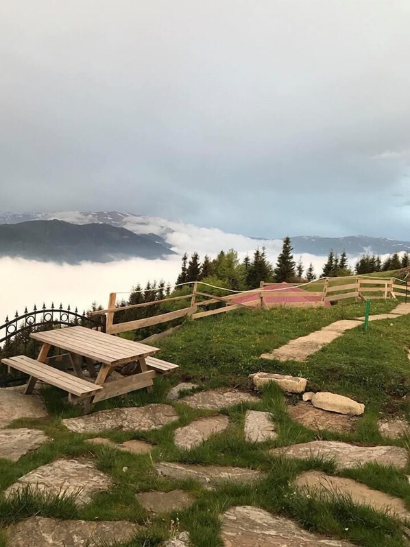 Área de parrilladas y picnic