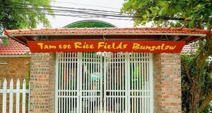 Tam Coc Ninh Binh Bungalow