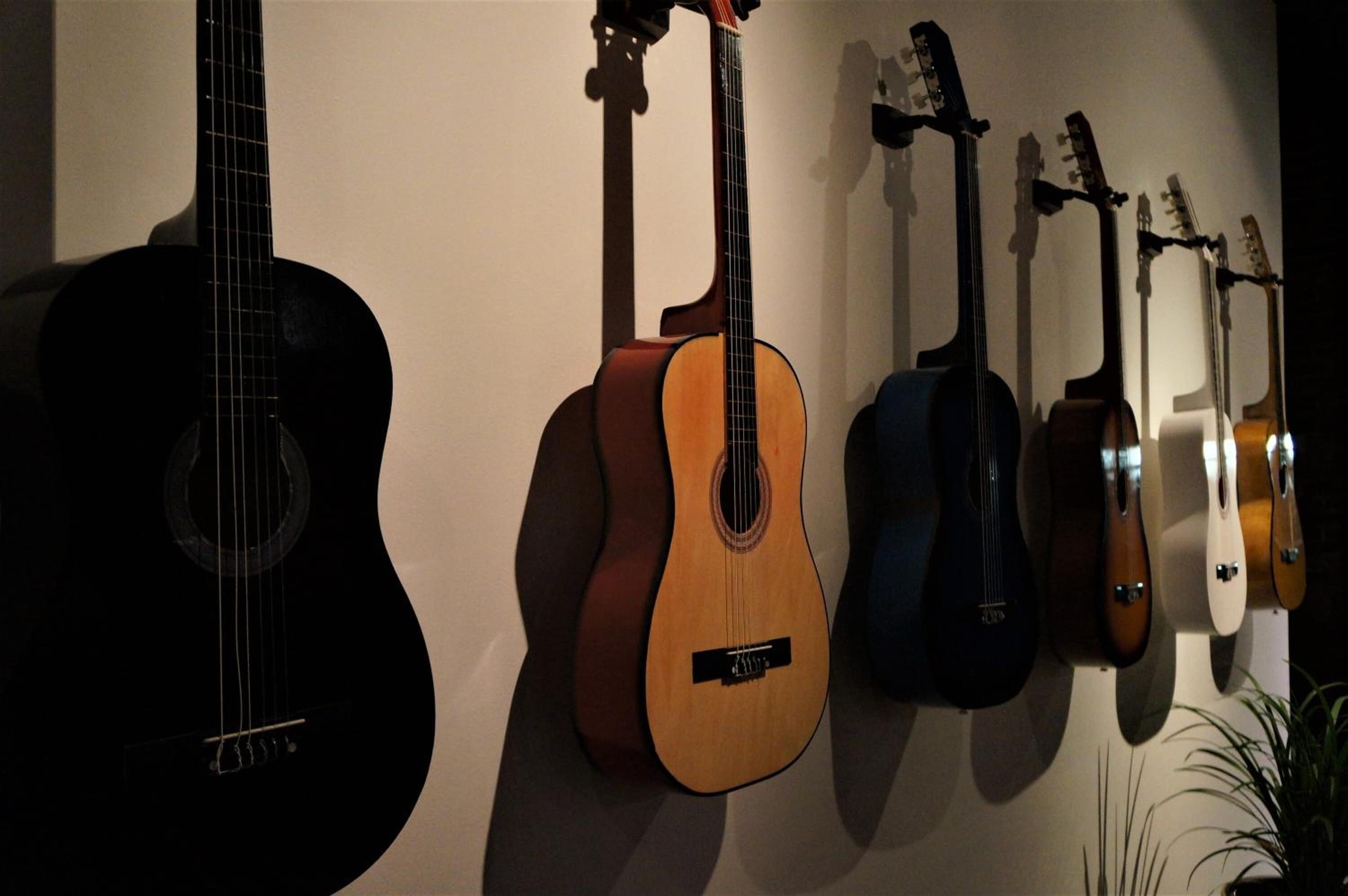 A wall with several acoustic guitars hanging in a row.