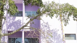 Un edificio de varios pisos con fachada morada y ventanas grandes.
