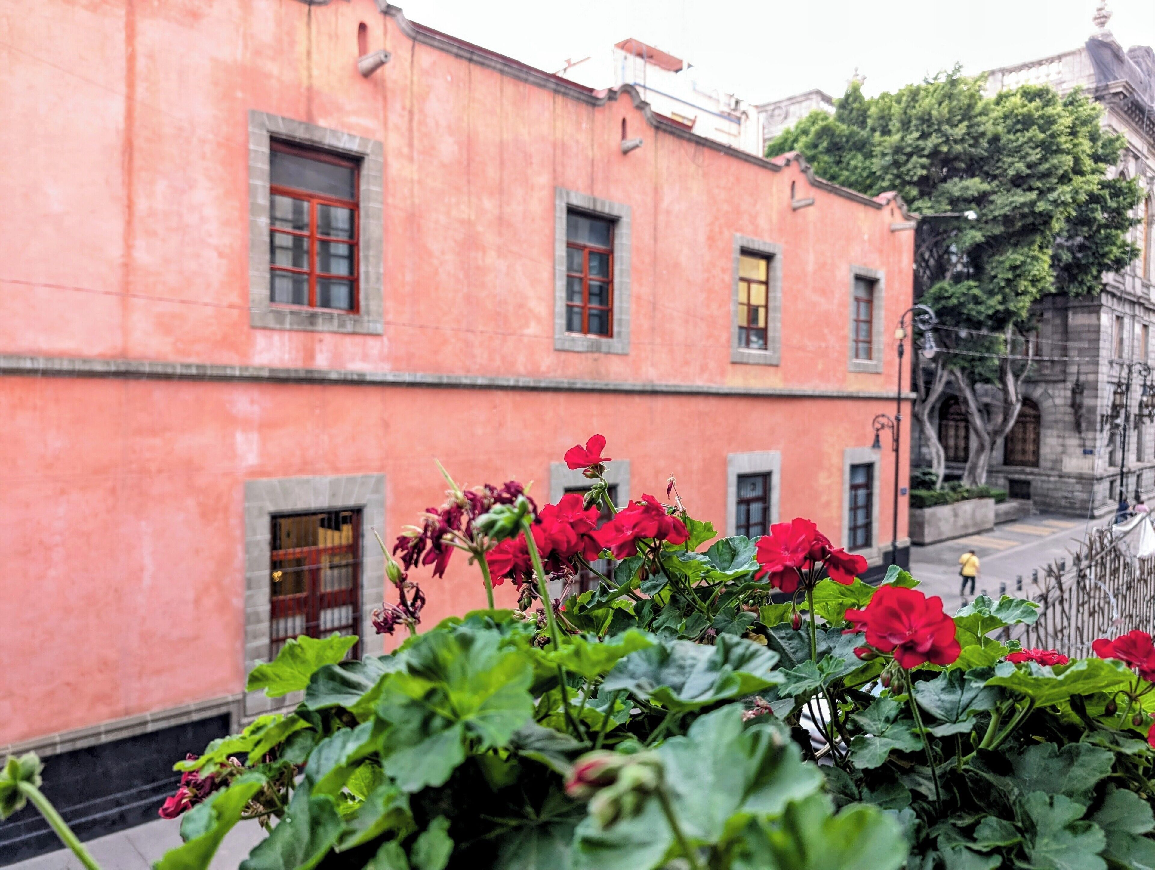 Un edificio rosa con múltiples ventanas y una puerta, rodeado de follaje verde y flores rojas.