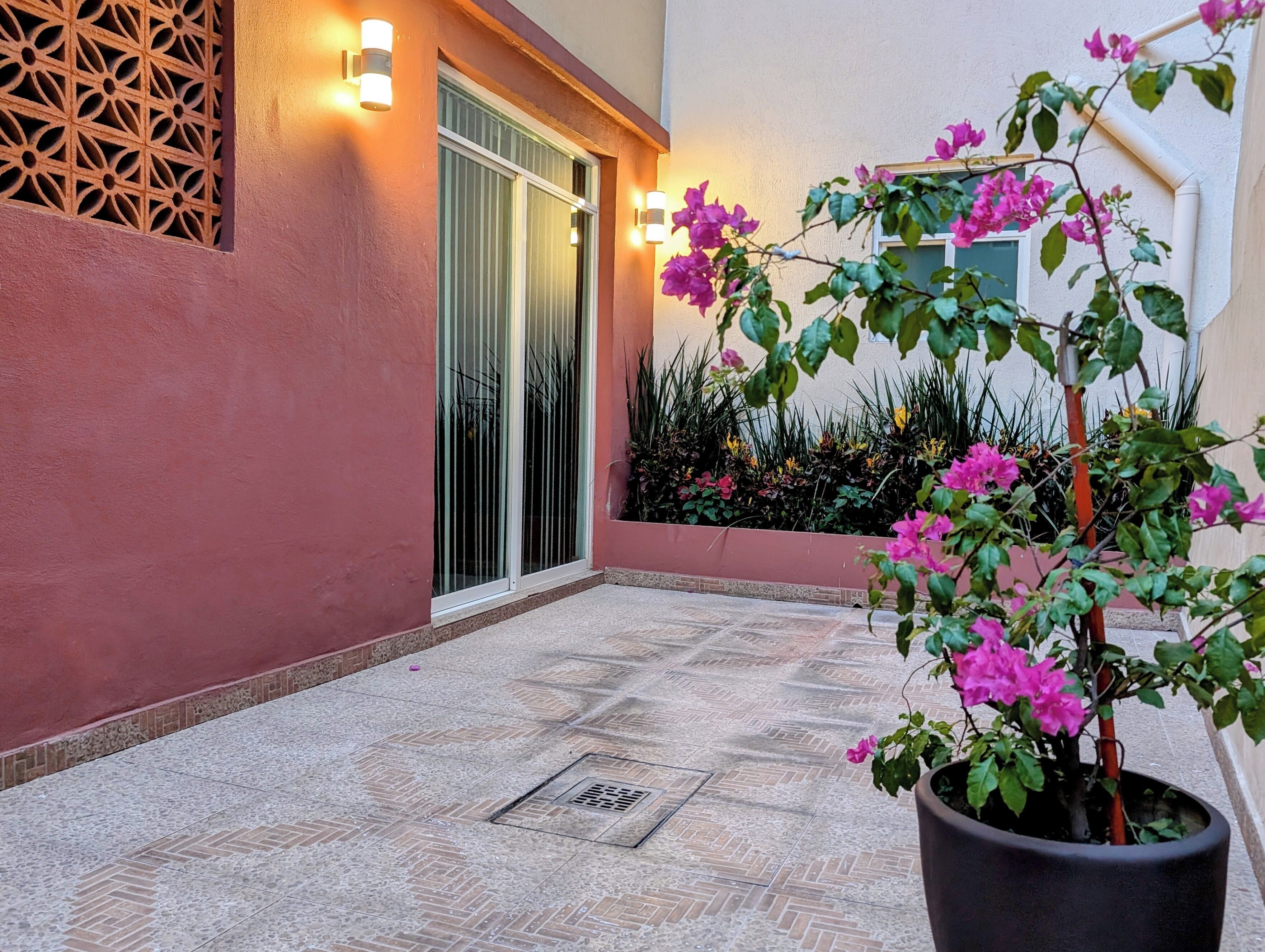 Un patio con baldosas, una planta en maceta y un ventanal corredero.