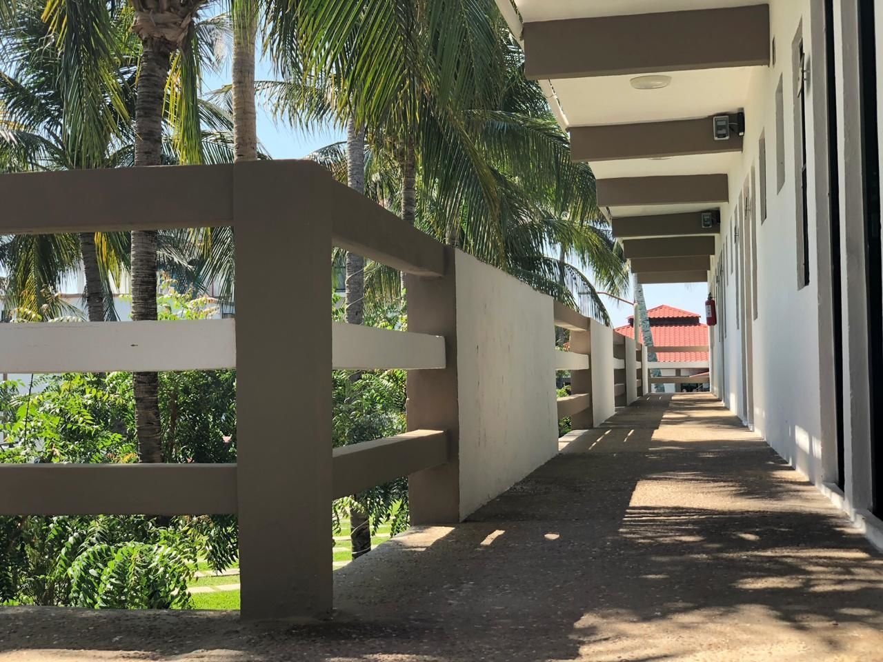 Un paseo techado con suelo de hormigón, bordeado por un muro bajo y palmeras.