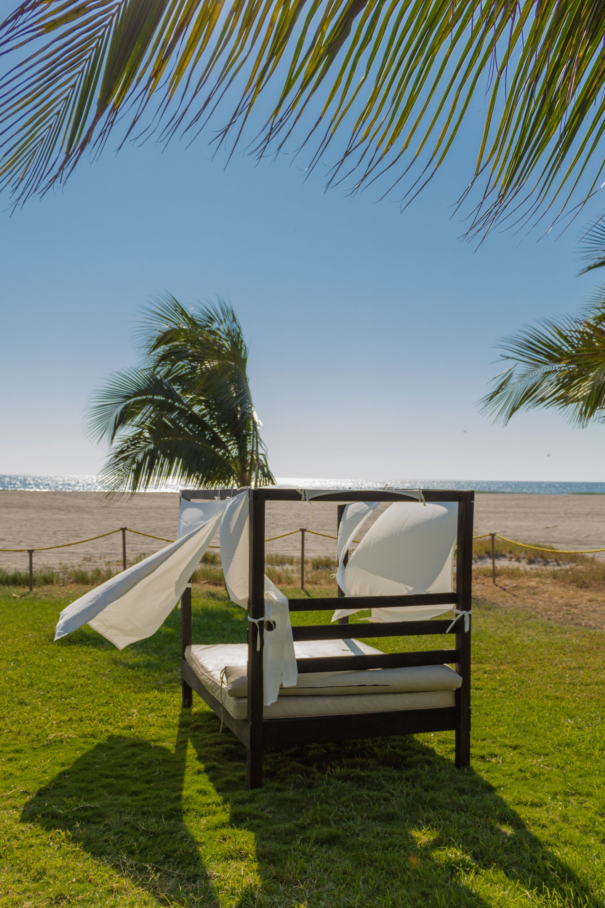 Una cama frente a la playa, con vista al océano, una palmera y una barrera de cuerda.