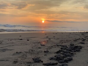 Accommodatie ligt op het strand