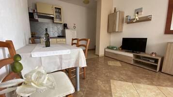 Premium Apartment | Living area | 32-inch TV with satellite channels