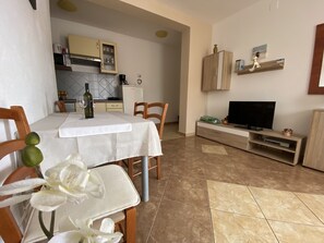 Premium Apartment | Living area | 32-inch TV with satellite channels