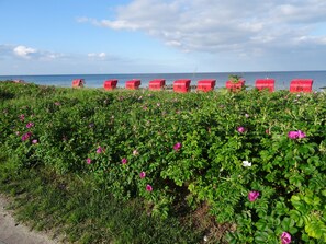Playa en los alrededores
