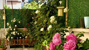 Een tuinpad met een houten omheining, bloempotten en bloeiende planten.