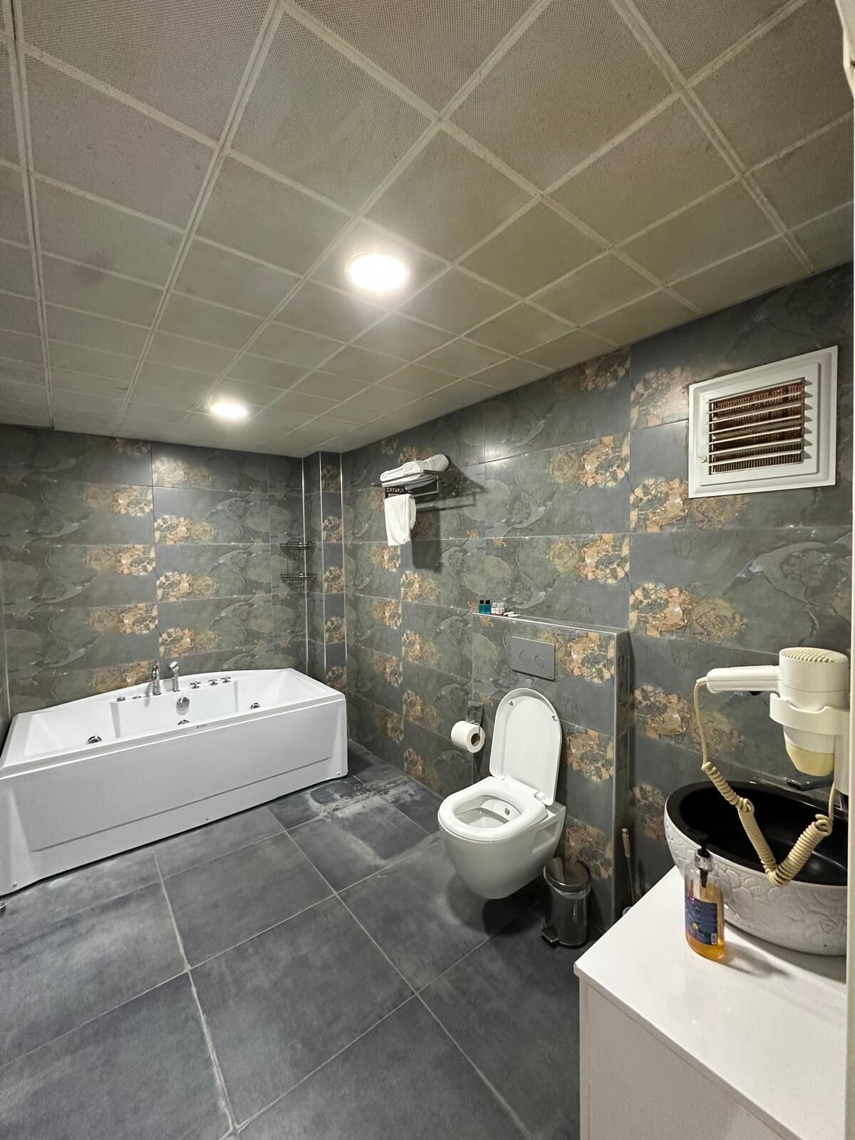 suite | 1 bedroom, premium bedding, minibar, desk