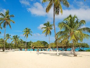 Una spiaggia nelle vicinanze