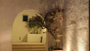Un cortile con una pianta in vaso, una piccola finestra e una scala che conduce a un piano superiore.