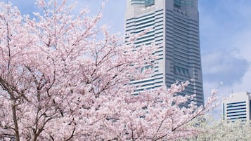 A tall modern building with a rectangular base and a narrow top, surrounded by a park with cherry blossom trees.