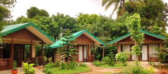 Ted's Bed and Breakfast