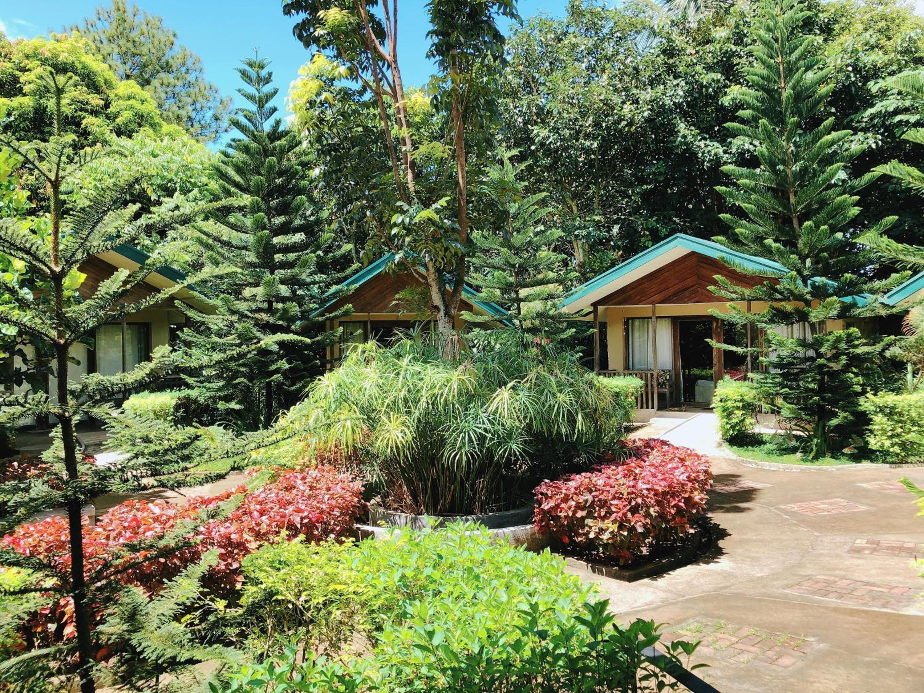 Un resort con varias cabañas para huéspedes rodeado de exuberante follaje y una variedad de plantas.