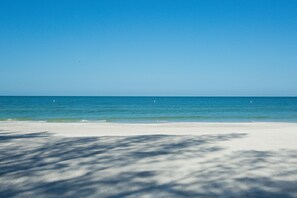 Camastros y toallas de playa 