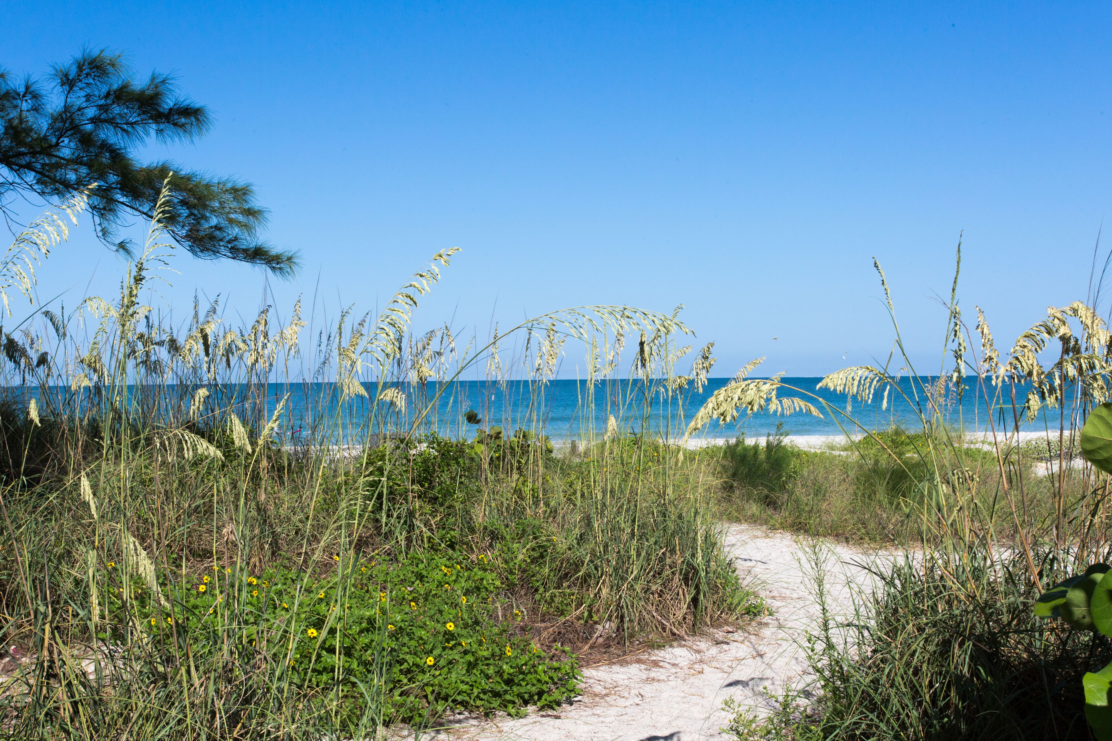 サンラウンジャー、ビーチタオル