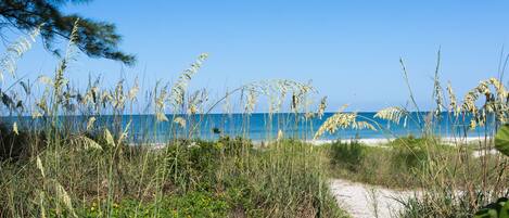 Sun-loungers, beach towels