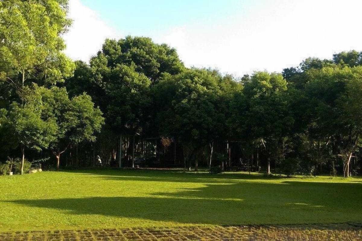 A park with a grassy area and trees.