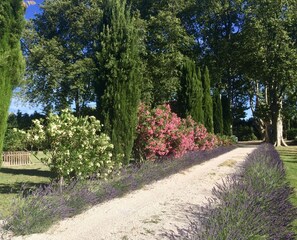 Parco della struttura