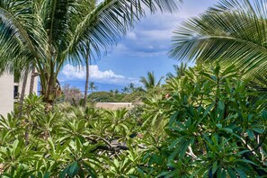 Property grounds - NEW REMODELED, OCEAN VIEW, A/C IN ALL ROOMS, CAL KING BED, 4K, SMART TV, KEURIG (Kihei)