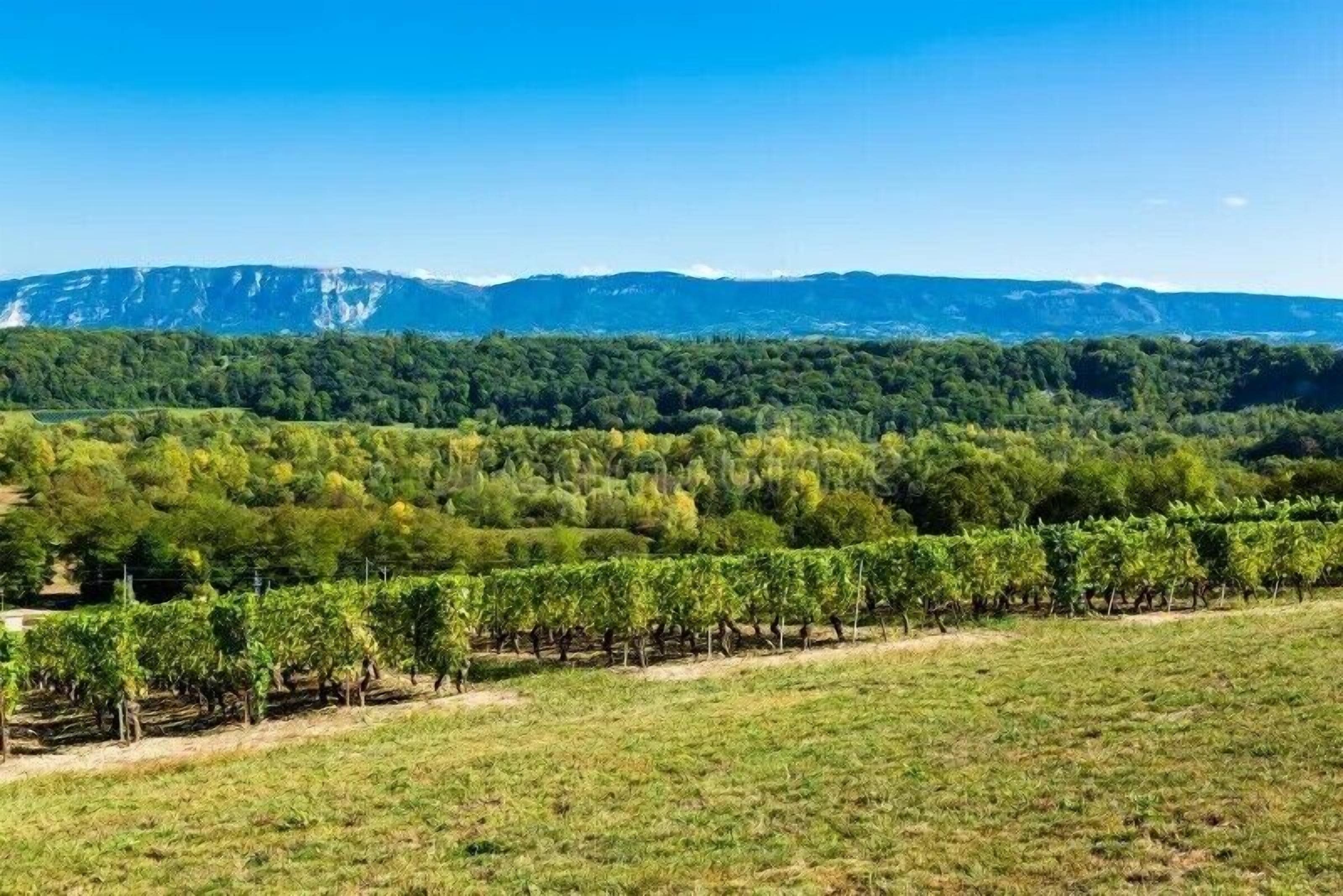 Photo - Mercure Geneva Airport