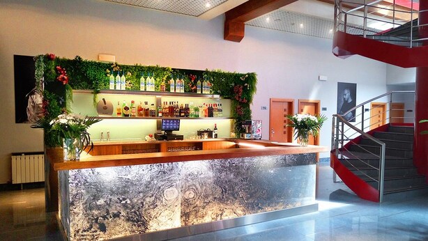 Una zona de bar con mostrador, estantes llenos de botellas y un arreglo decorativo de plantas.