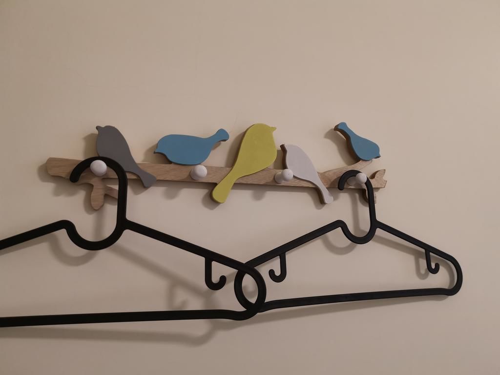 A wall-mounted wooden rack with colorful bird-shaped hooks and a black hanger below.