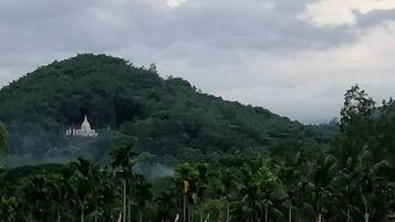 Memory-foam beds, laptop workspace, free WiFi, bed sheets