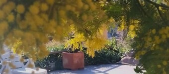 Casa Bella Vista vuoristossa merinäköalalla.  Yksityinen uima-allas. 6 henkilöä