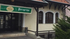 Uklassifisert bilde, 2 av 34, knapp