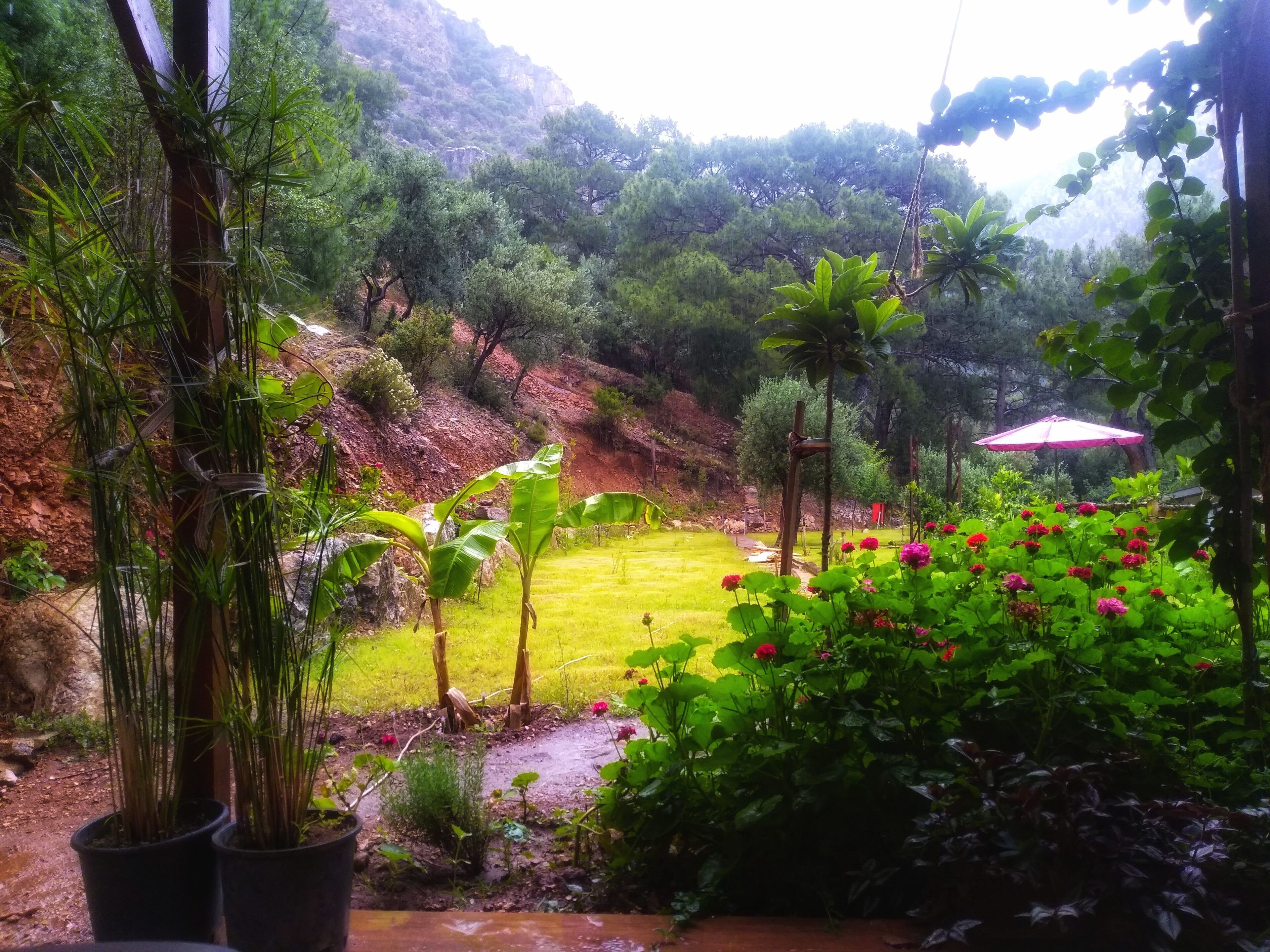 Comfort Apartment | Blackout drapes, free WiFi, bed sheets