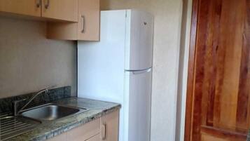 Apartment | Private kitchen | Fridge, microwave, oven, coffee/tea maker