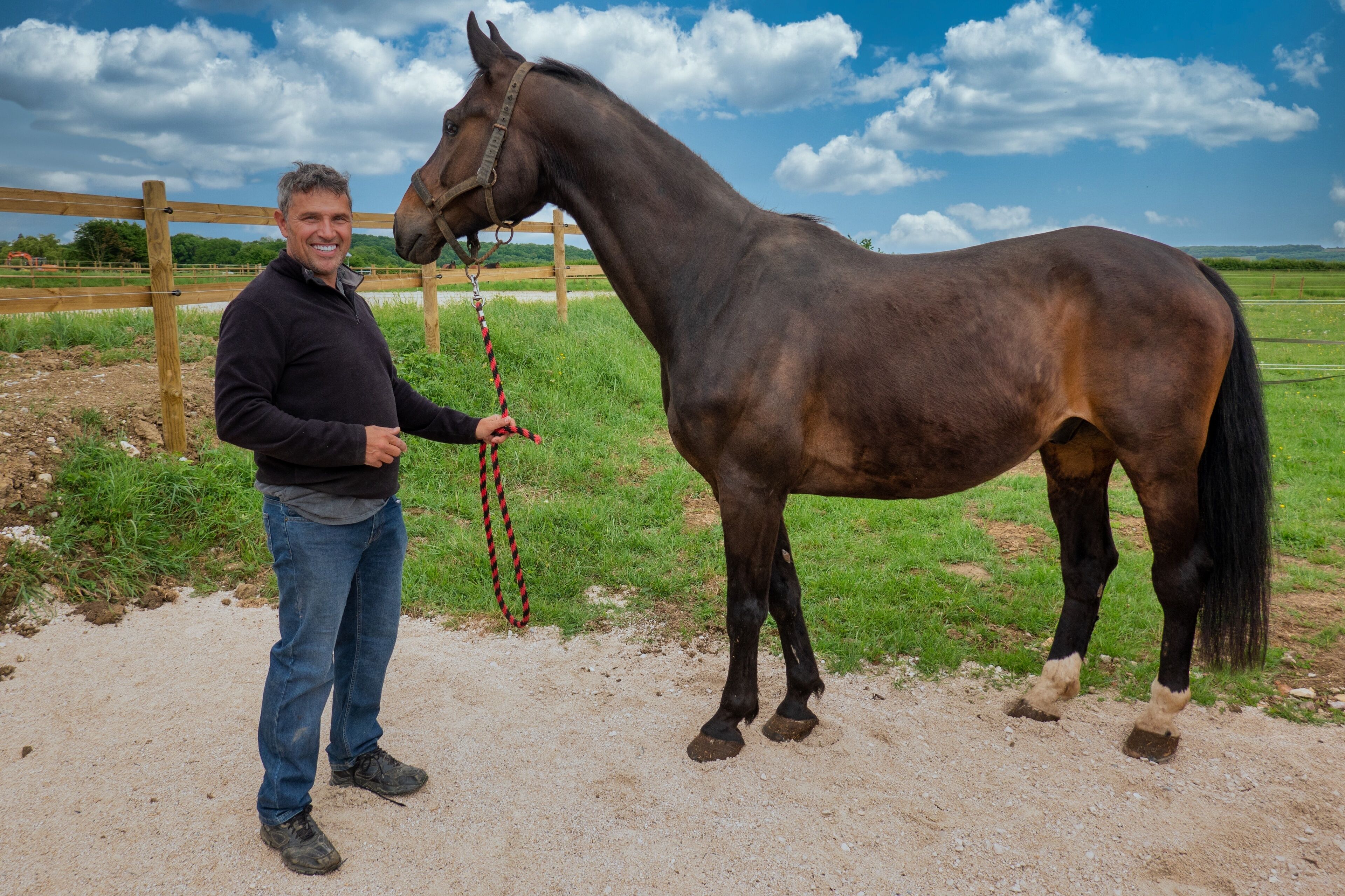 A person standing next to a horse in an outdoor setting with a fence and greenery in the background.