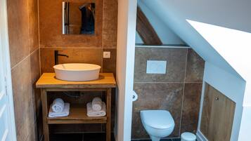 A modern bathroom with a large sink, a toilet, and a mirror.