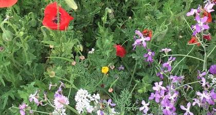 B&B Florence et Francis