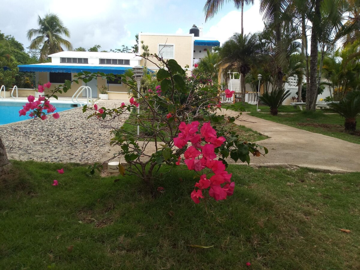 Image de profil de l’hôte