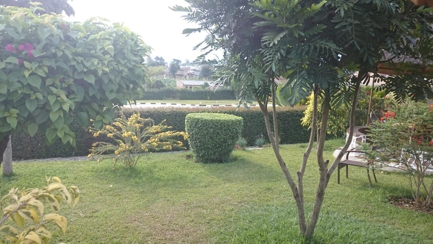 A well-maintained garden with various plants and a neatly trimmed hedge.