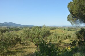 Unclassified image, 5 of 18, button - Cozy vacation home on a farm, Bagno di Gavorrano, Tuscany (Bagno di Gavorrano)