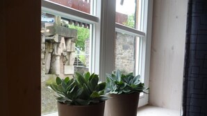 Zwei Blumentöpfe auf einem Fensterbrett, im Hintergrund eine Steinsäule und ein Holzzaun, sichtbar durch das Fenster.