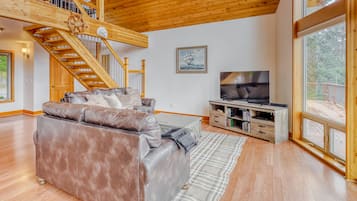 Televisión, chimenea y libros