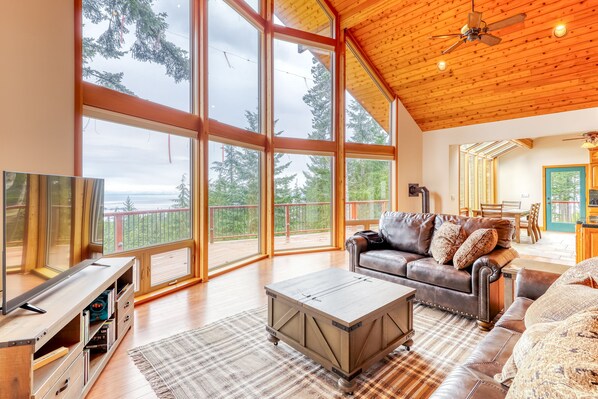 TV, fireplace, books