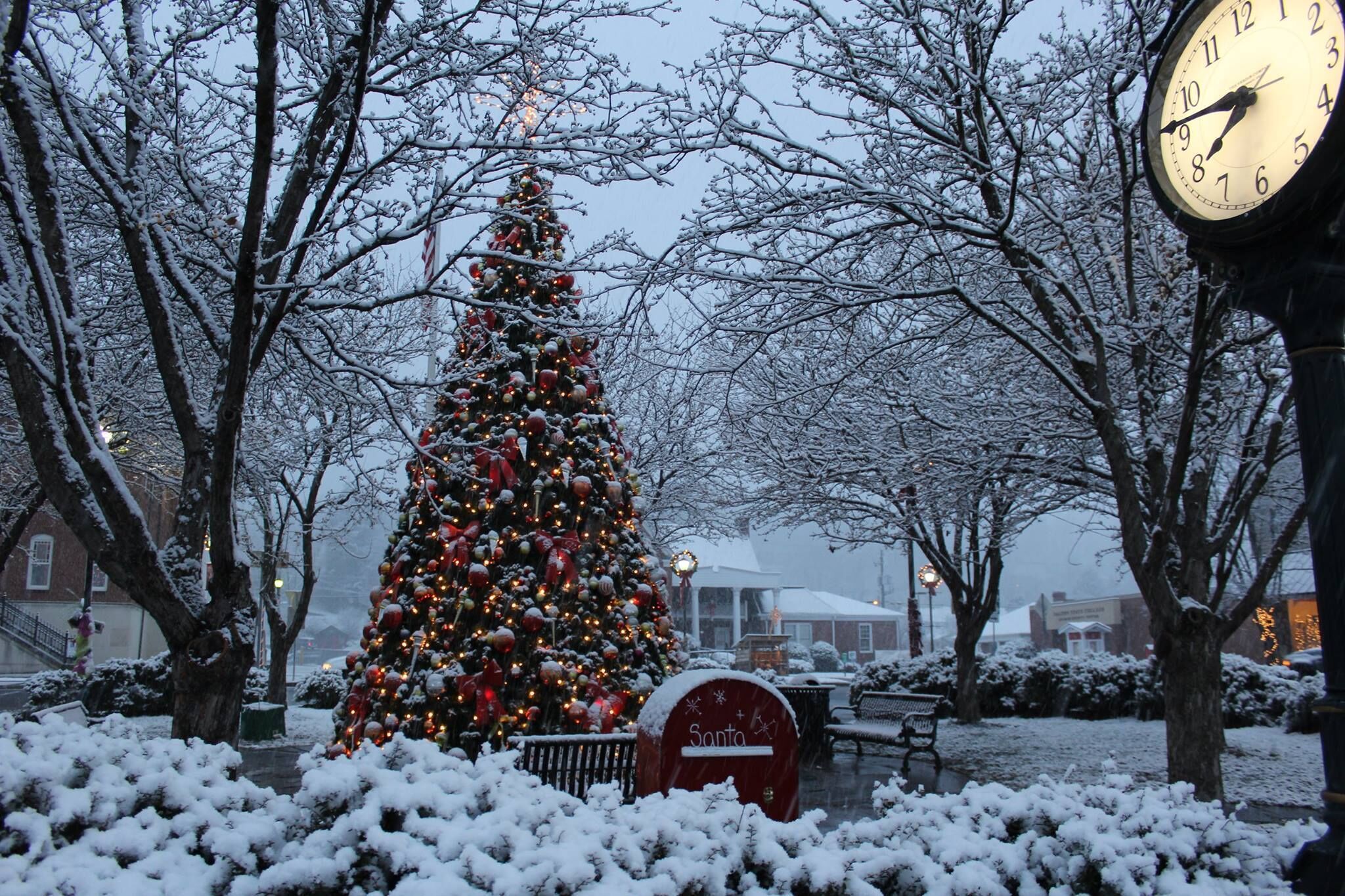 A snow-covered Christmas tree in a park with a clock.