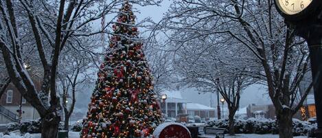 A snow-covered Christmas tree in a park with a clock.