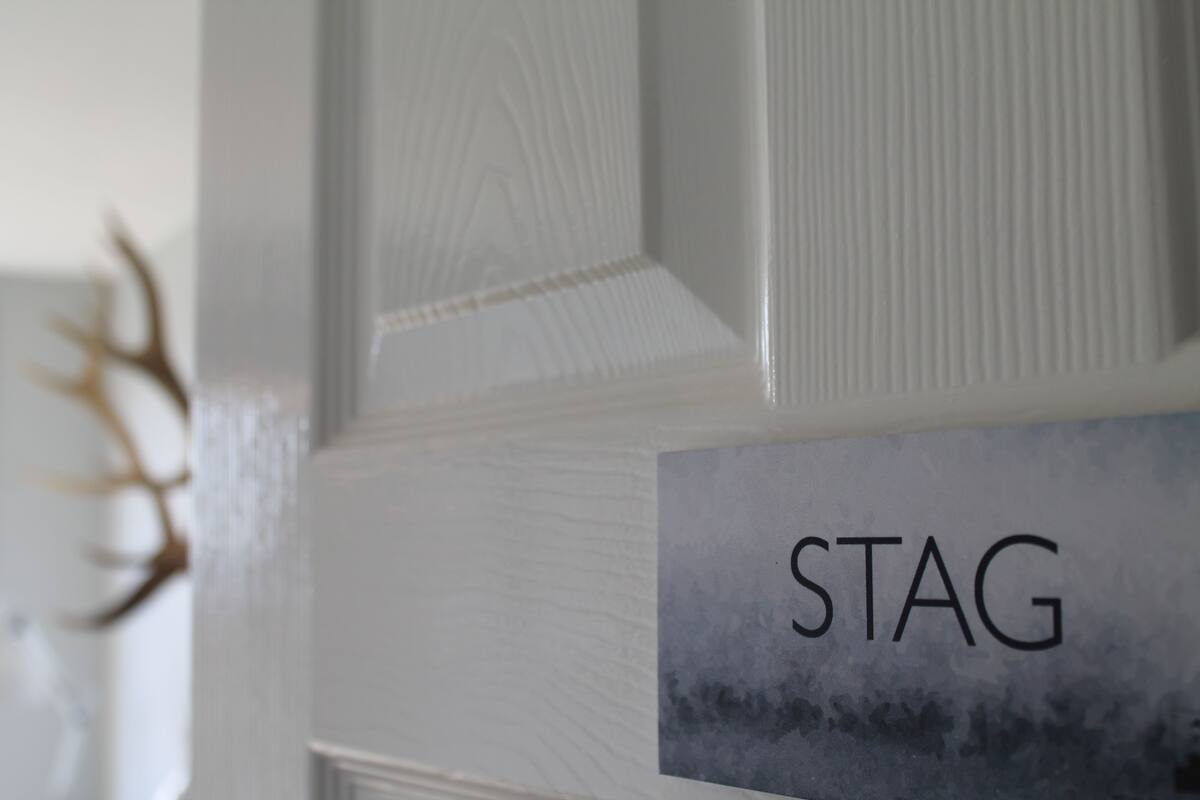 Primer plano de una pared con textura y un cartel que dice 'STAG'.